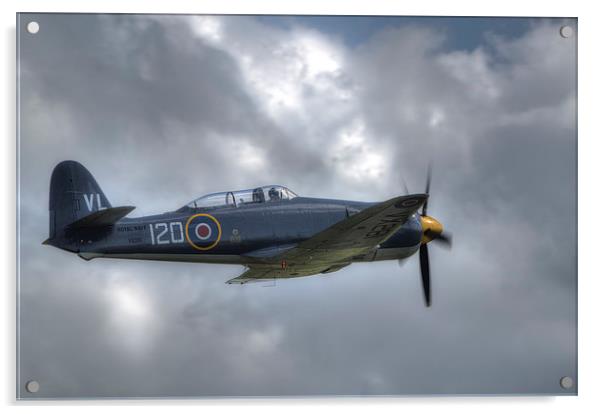 Hawker Sea Fury Acrylic by Nigel Bangert