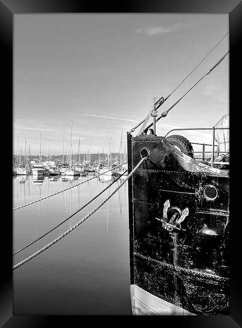 Chatham Marina, Kent, Yachts Framed Print by Robert Cane