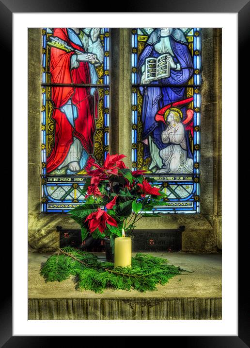 Christmas Poinsettia Framed Mounted Print by Ian Mitchell