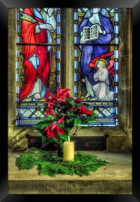 Christmas Poinsettia Framed Print by Ian Mitchell