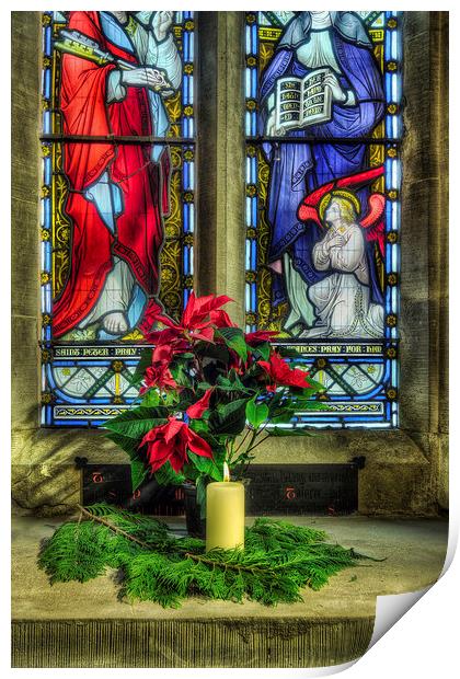 Christmas Poinsettia Print by Ian Mitchell