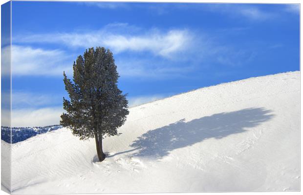 The Sentinel Canvas Print by Gary Beeler