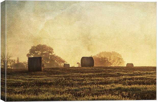 Textured haybales Canvas Print by Stuart Gennery