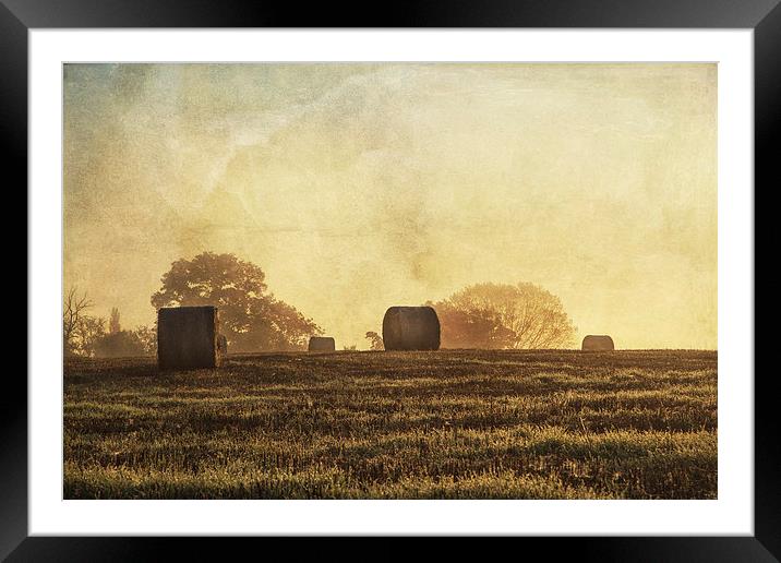 Textured haybales Framed Mounted Print by Stuart Gennery