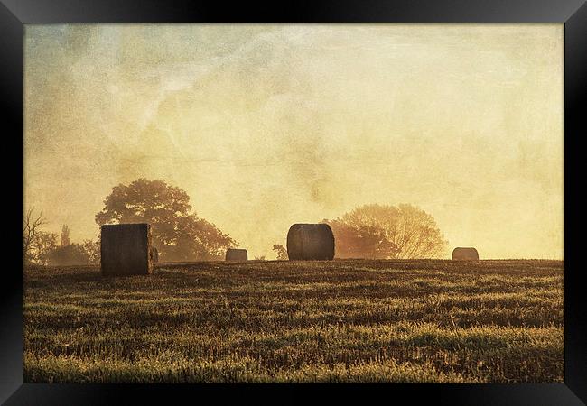 Textured haybales Framed Print by Stuart Gennery