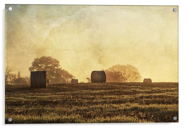Textured haybales Acrylic by Stuart Gennery