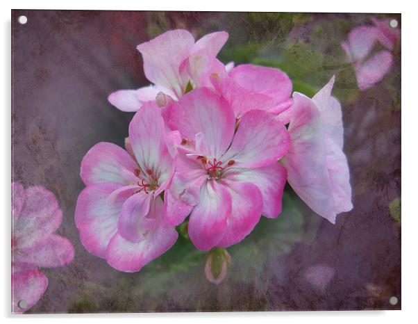 Pretty Blossoms Acrylic by Judy Hall-Folde