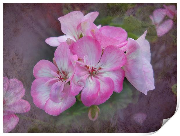 Pretty Blossoms Print by Judy Hall-Folde
