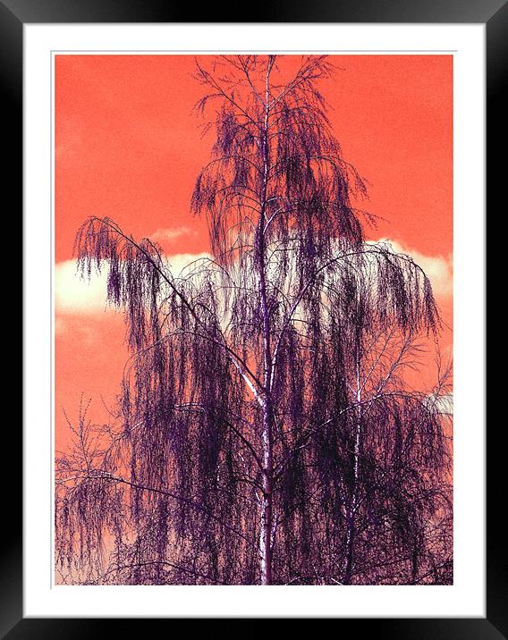 Beautiful The Life Framed Mounted Print by Erzsebet Bak