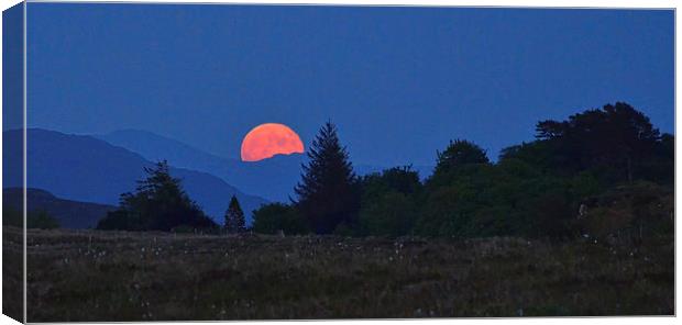 A rising Blood  Moon Canvas Print by Richard Smith