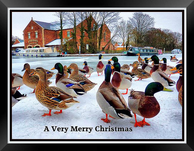 Merry Xmas to Everyone on P4ME Framed Print by Lilian Marshall
