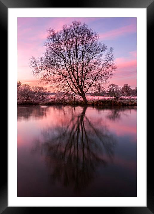 Tree on the River Bure Framed Mounted Print by Stephen Mole