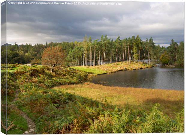 Tarn Hows in autumn, Cumbria Canvas Print by Louise Heusinkveld