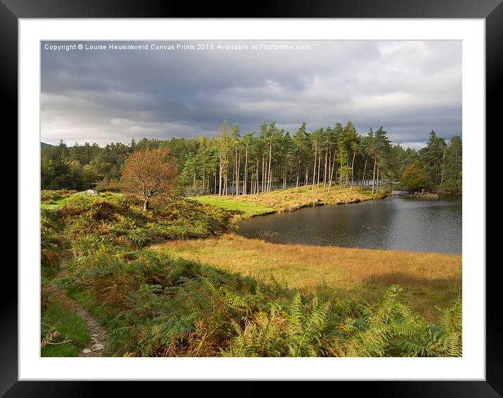 Tarn Hows in autumn, Cumbria Framed Mounted Print by Louise Heusinkveld