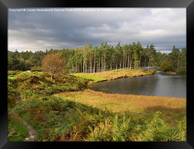 Tarn Hows in autumn, Cumbria Framed Print by Louise Heusinkveld