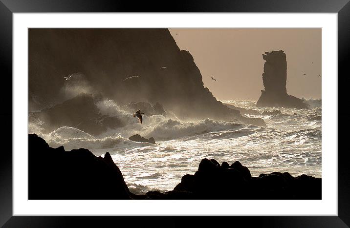 Kinard beach Framed Mounted Print by barbara walsh