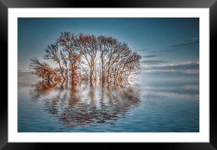 Tranquility Framed Mounted Print by Thanet Photos