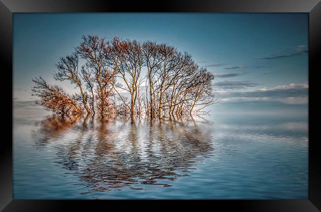 Tranquility Framed Print by Thanet Photos