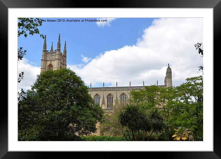St Lukes Church and Gardens Chelsea and Kensington Framed Mounted Print by Diana Mower