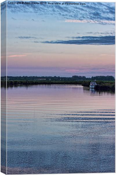 Sunset on the River Yare Canvas Print by Avril Harris