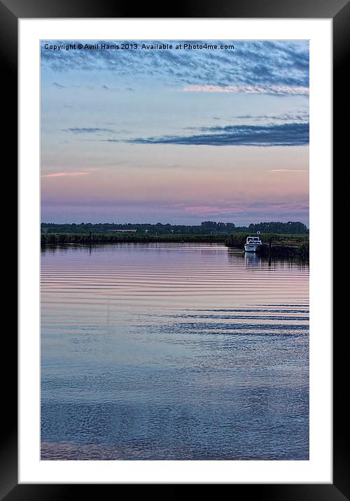 Sunset on the River Yare Framed Mounted Print by Avril Harris