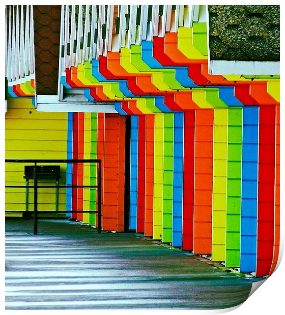 Beach huts Print by Dave Gould