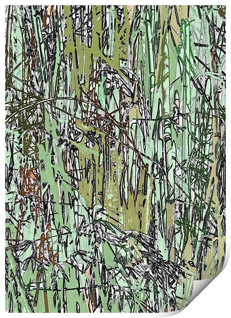Bamboo Pattern Print by Thomas Grob