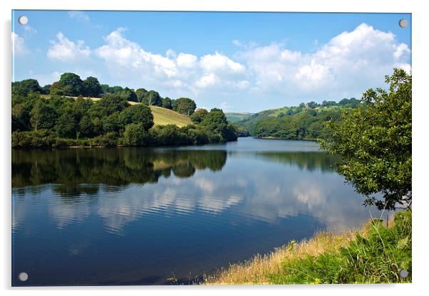 Lliw reservoir near Swansea Acrylic by Paul Nicholas