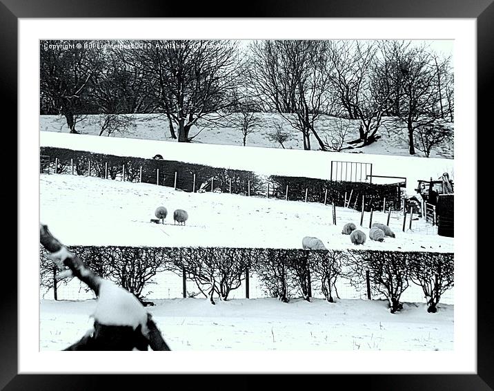 Bleak snowy farm Framed Mounted Print by Bill Lighterness