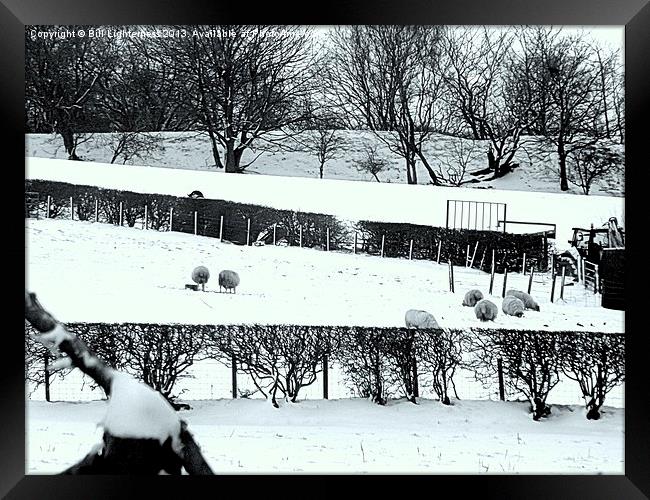 Bleak snowy farm Framed Print by Bill Lighterness