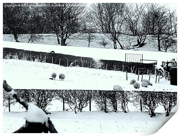 Bleak snowy farm Print by Bill Lighterness