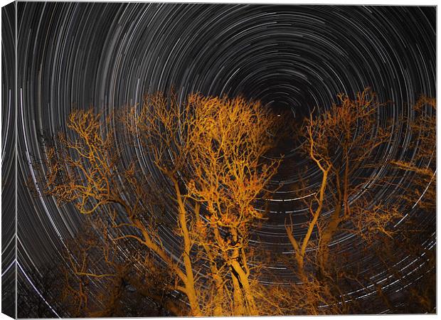 Star trail with trees Canvas Print by mark humpage