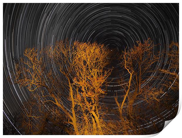 Star trail with trees Print by mark humpage