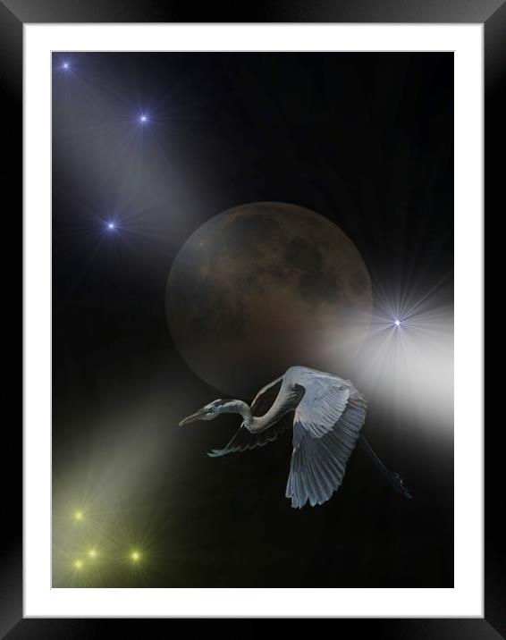 Night Flight of the Crane. Framed Mounted Print by Heather Goodwin