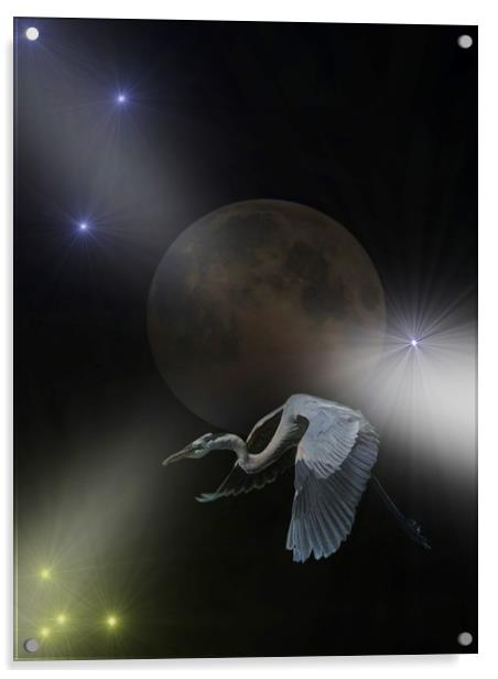 Night Flight of the Crane. Acrylic by Heather Goodwin