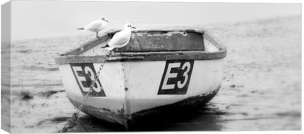 On The Mud Flats Topsham Canvas Print by Peter F Hunt