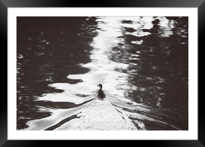 Lone Ranger Framed Mounted Print by Rhys Parker