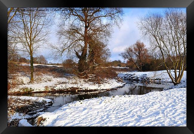 Bocking river in Winter Snow Framed Print by Diana Mower