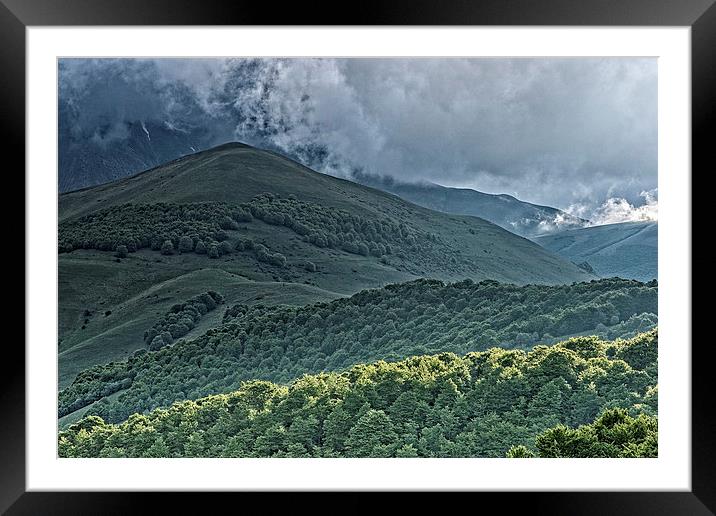 Trees in Umbria Italy Framed Mounted Print by Philip Pound