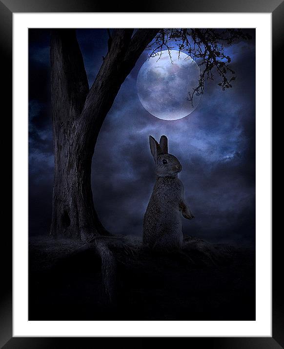 Moon Rabbit Framed Mounted Print by Martin Maran