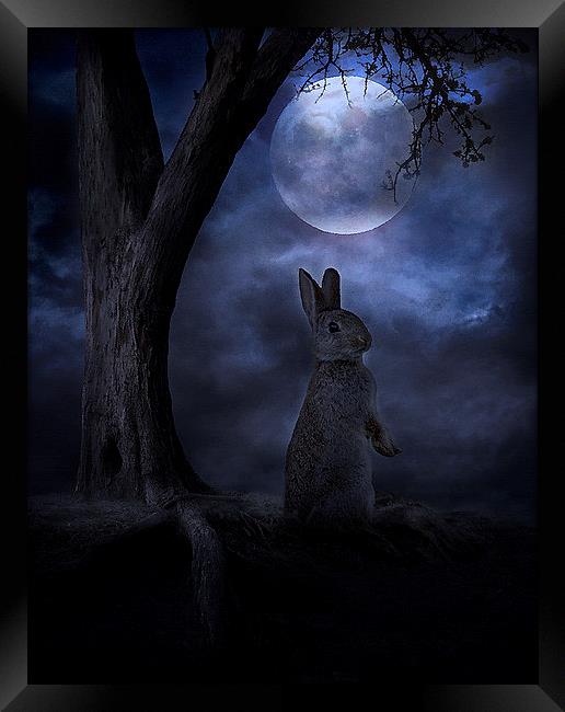 Moon Rabbit Framed Print by Martin Maran