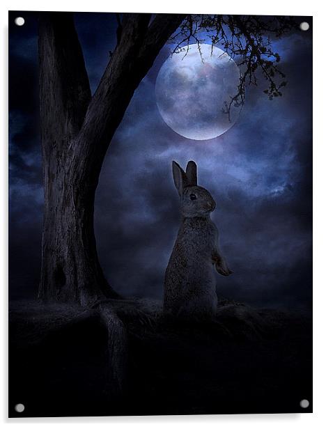 Moon Rabbit Acrylic by Martin Maran