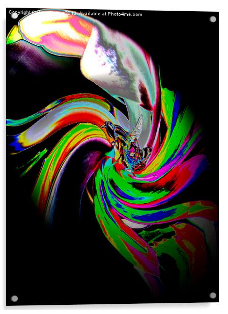 Twist Acrylic by Pete Moyes