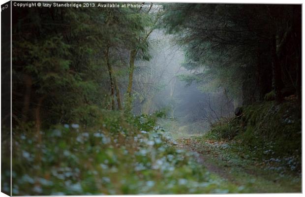 Misty soggy walk in the woods Canvas Print by Izzy Standbridge