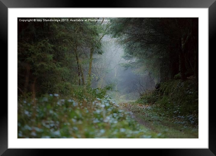 Misty soggy walk in the woods Framed Mounted Print by Izzy Standbridge