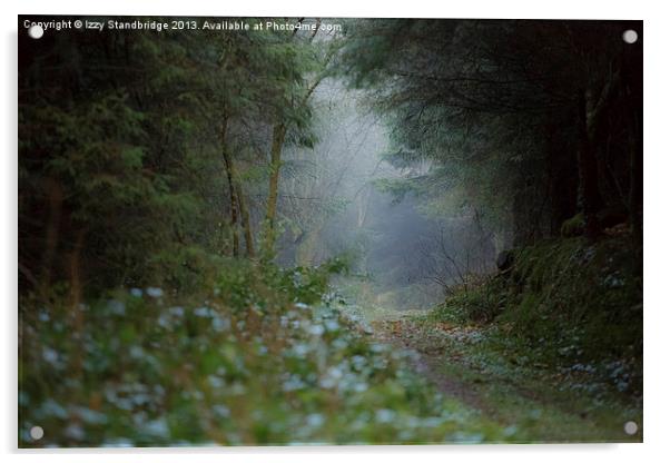 Misty soggy walk in the woods Acrylic by Izzy Standbridge