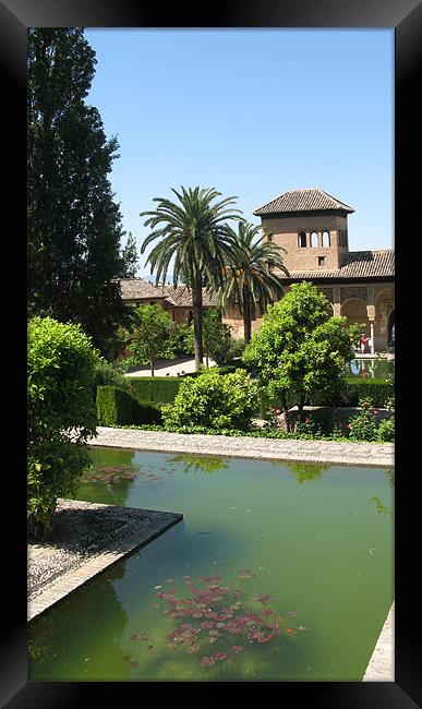 The Alhambra Palace Framed Print by JEAN FITZHUGH