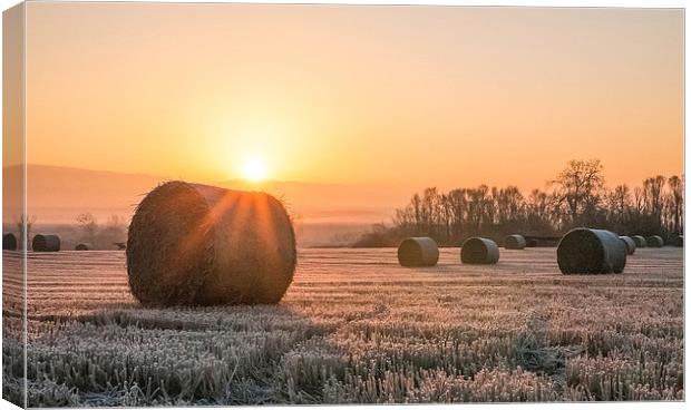 Sunrise over the Bales Canvas Print by Roz Greening