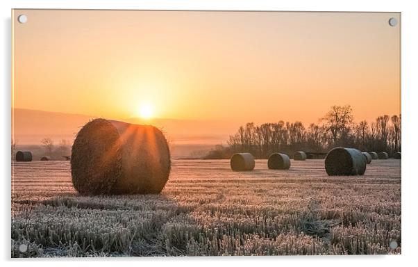 Sunrise over the Bales Acrylic by Roz Greening