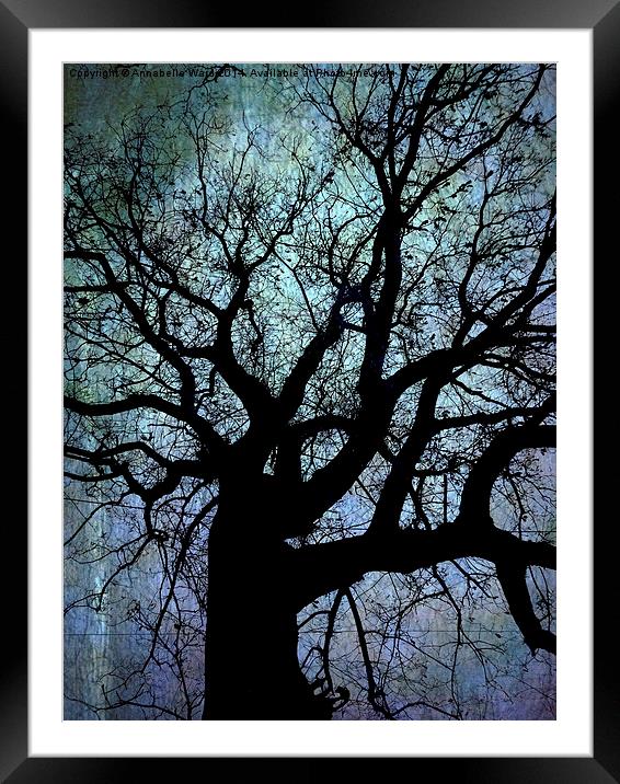 Oak Tree in Blue Framed Mounted Print by Annabelle Ward